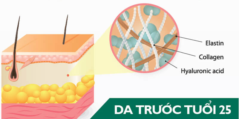 Các vấn đề về da tuổi dậy thì